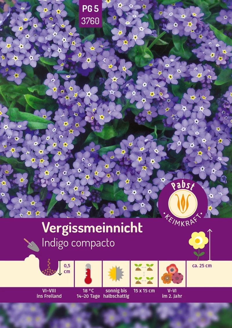 Vergißmeinnicht Indigo compacto Saatgut