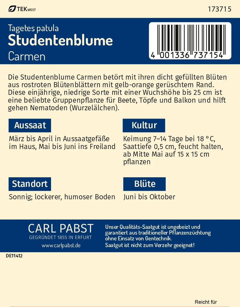 Studentenblume Carmen Saatgut