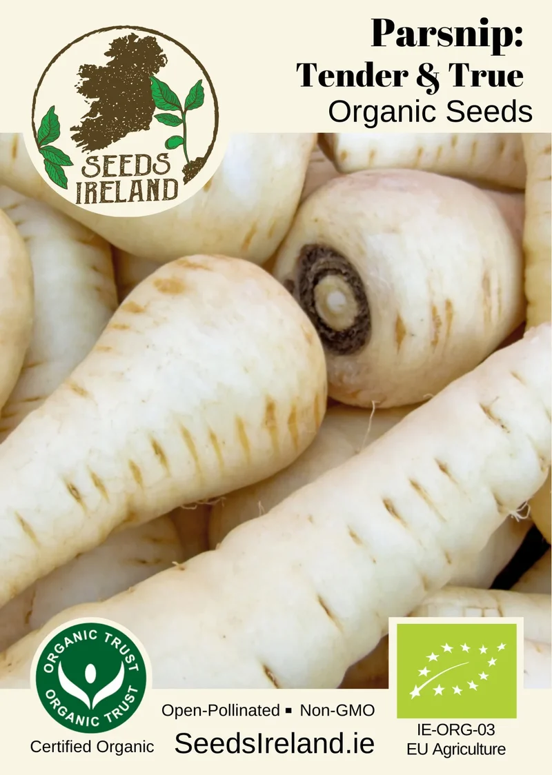 Parsnip: Tender & True Organic Seed