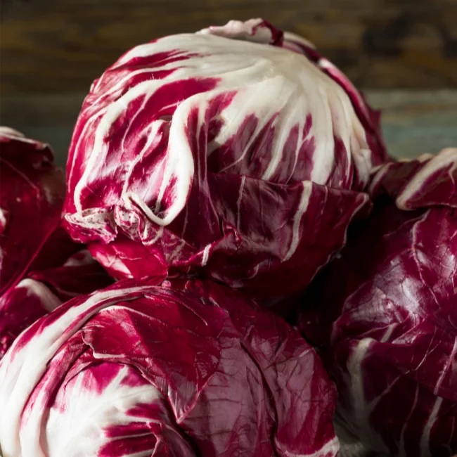 Chicory: Palla Rossa (radicchio) Organic Seed