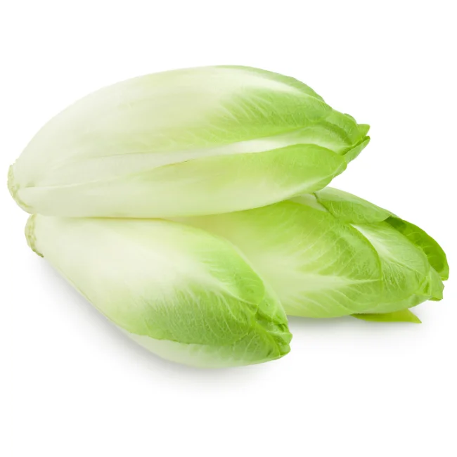 Chicory: Sugarloaf Organic Seed