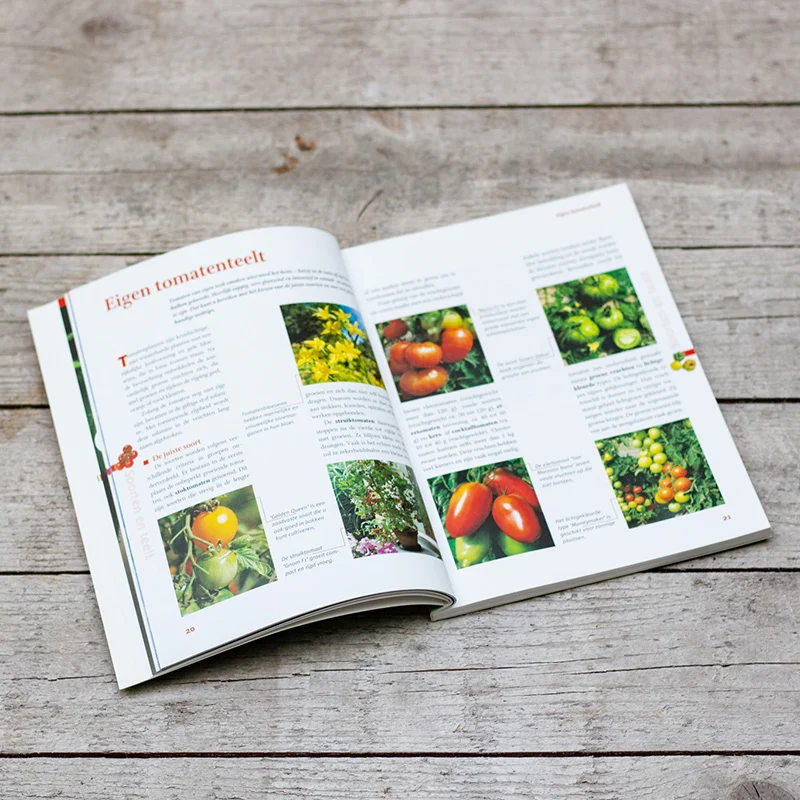 Het beste uit de moestuin. Tomaten, pompoenen en courgettes