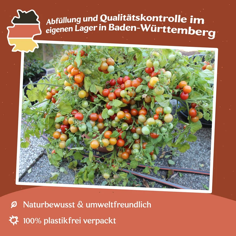 Bajaja Tomatensamen