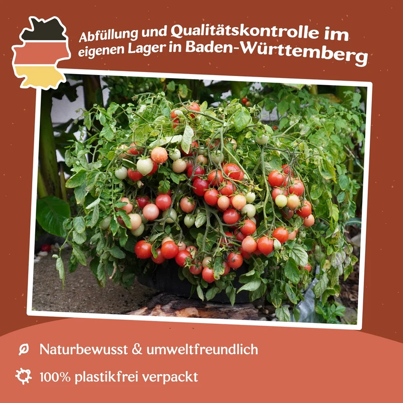 Gartenperle Tomatensamen