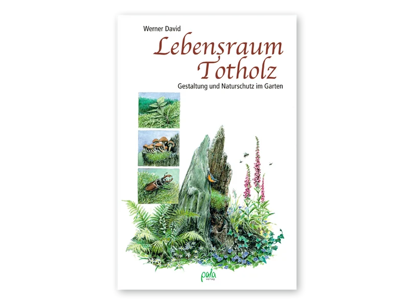 Lebensraum Totholz