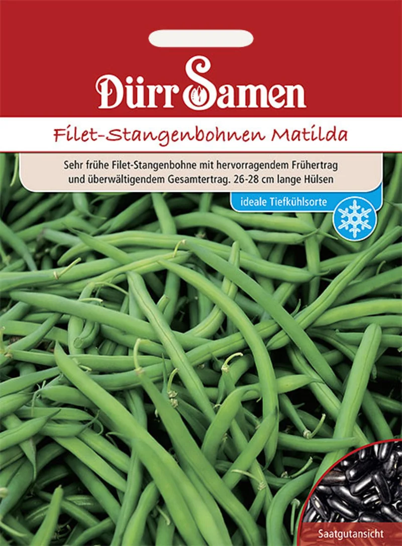 Filet Stangenbohnen Matilda Saatgut