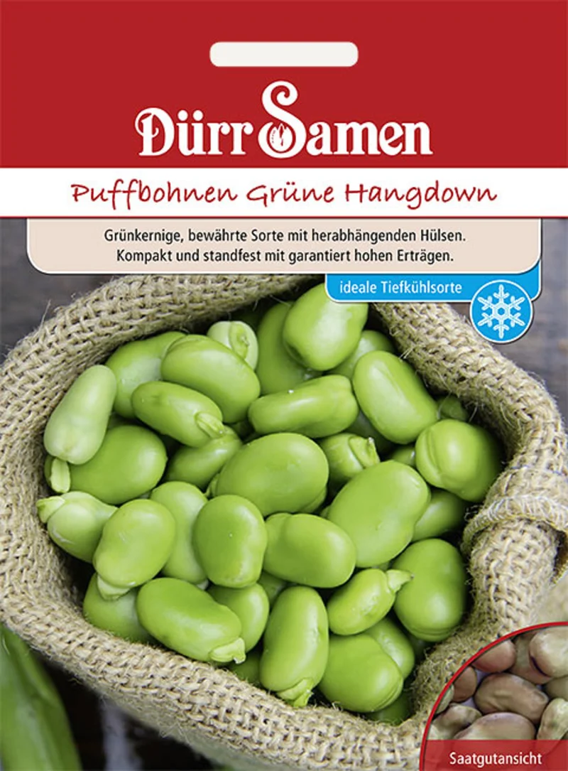 Puffbohne Grüne Hangdown Saatgut