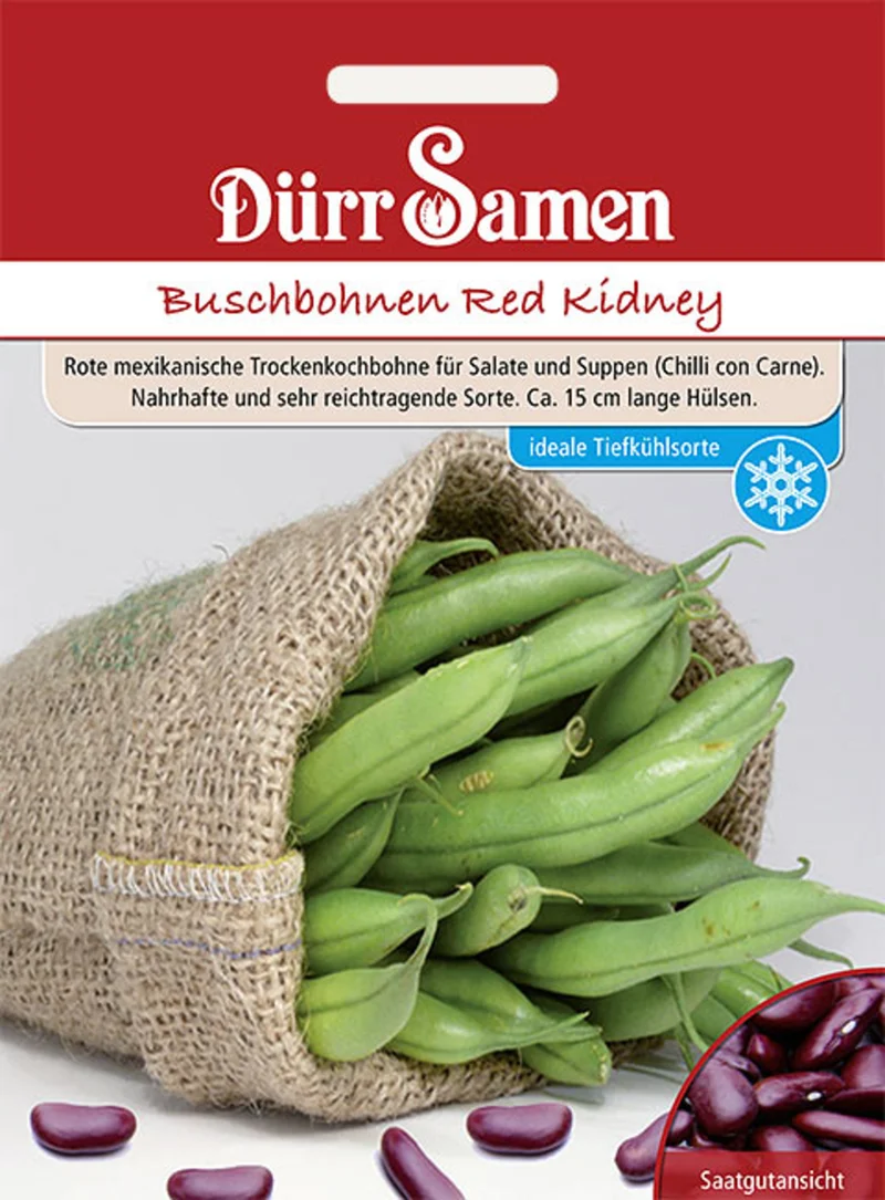 Buschbohne Red Kidney Saatgut