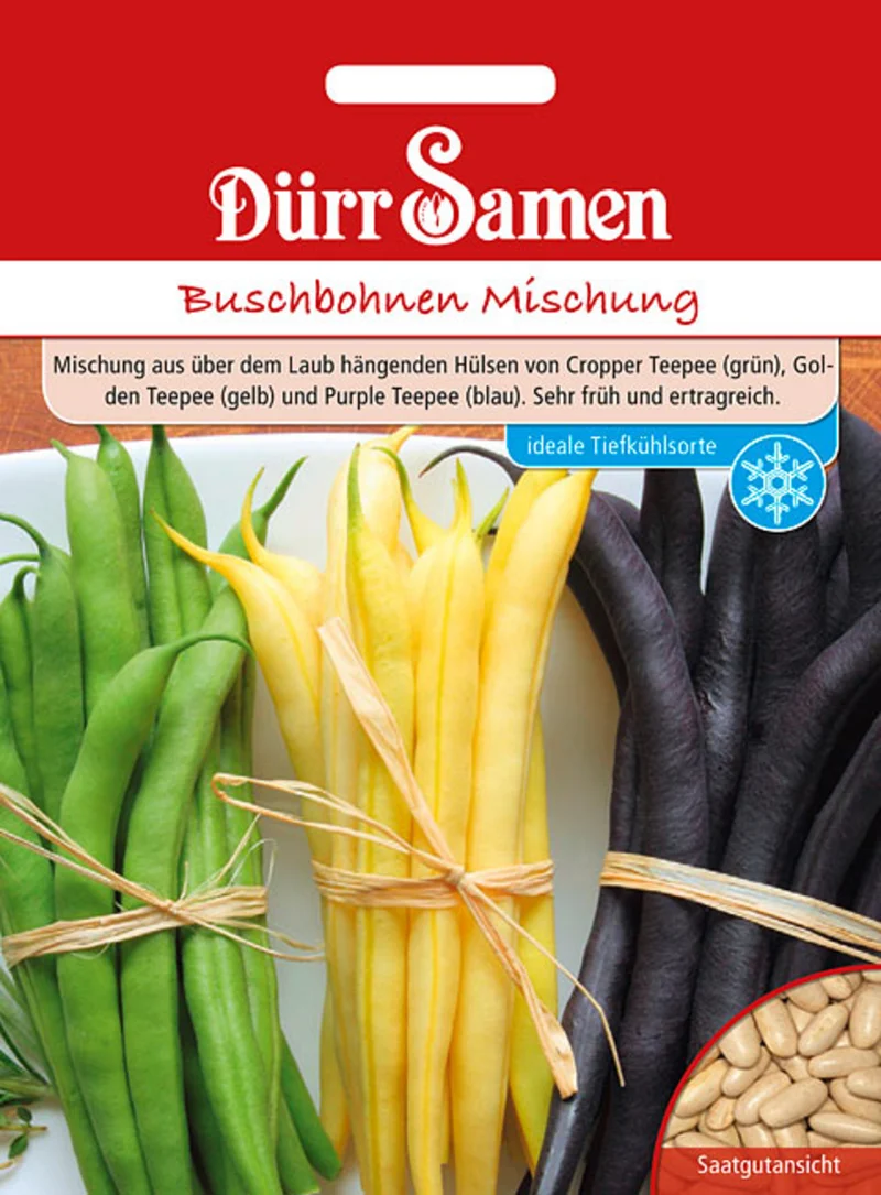 Buschbohne Mischung Saatgut