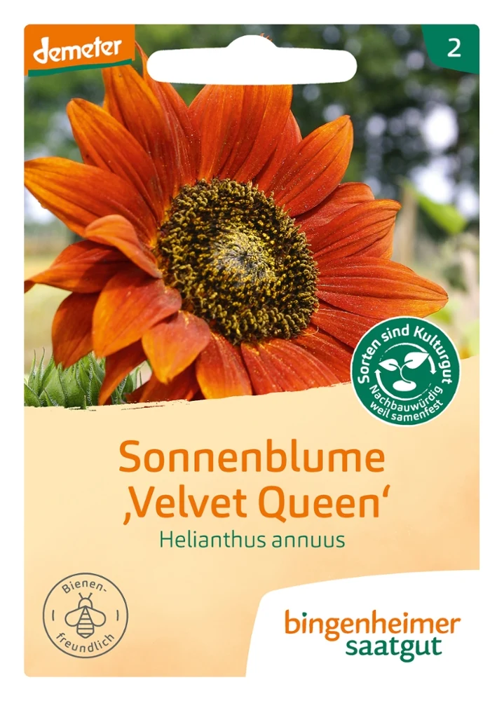 BIO Saatgut Sonnenblume "Velvet Queen"
