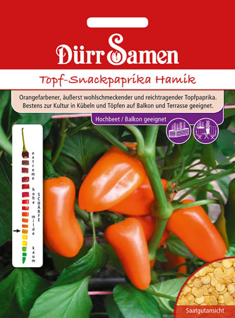 Topf Snackpaprika Hamik Saatgut