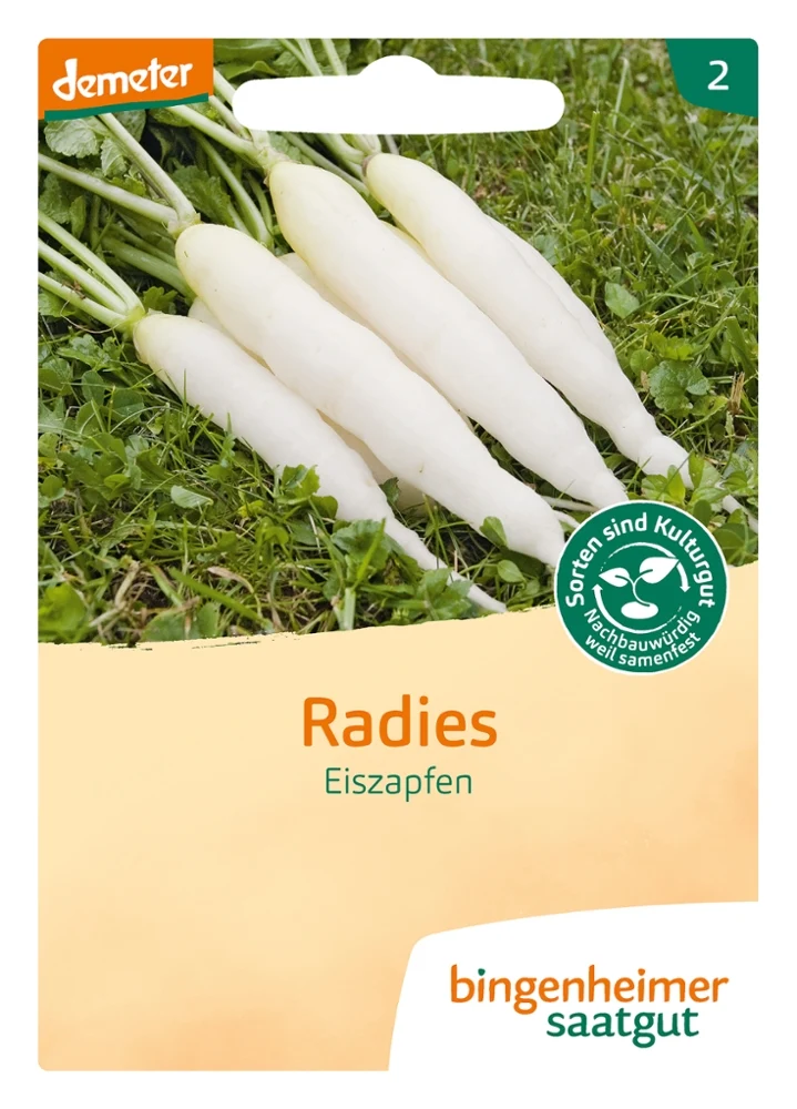 BIO Saatgut Radies Eiszapfen
