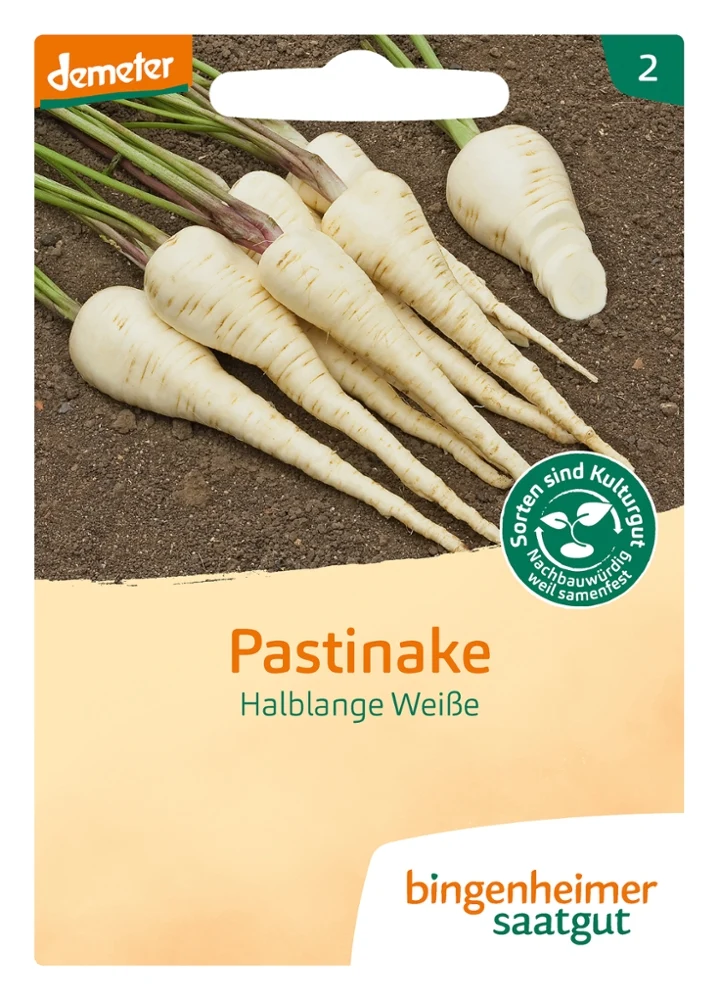 BIO Saatgut Pastinaken Halblange Weiße