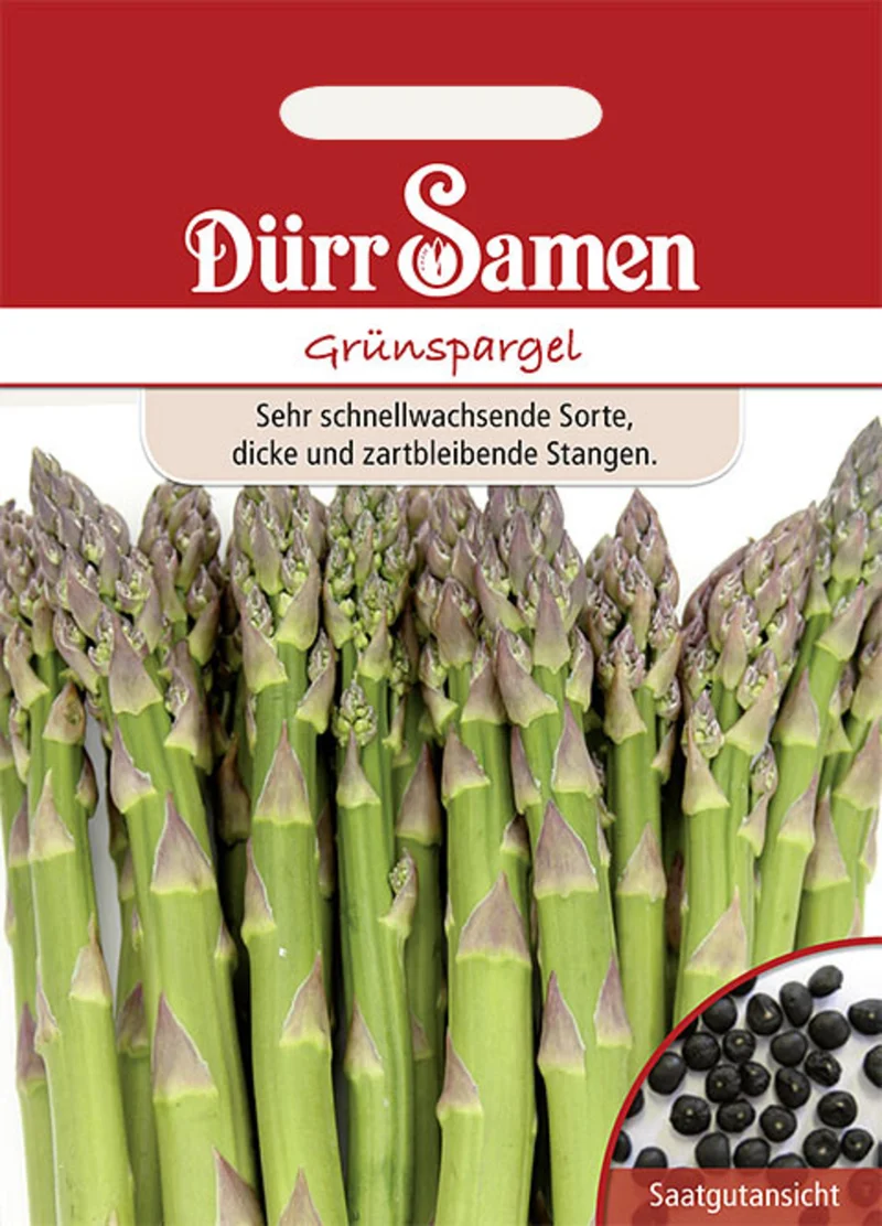 Grünspargel Saatgut