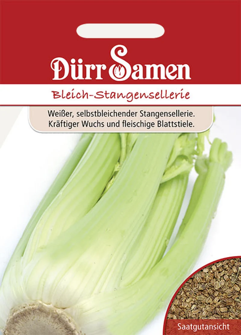 Bleich Stangensellerie Saatgut