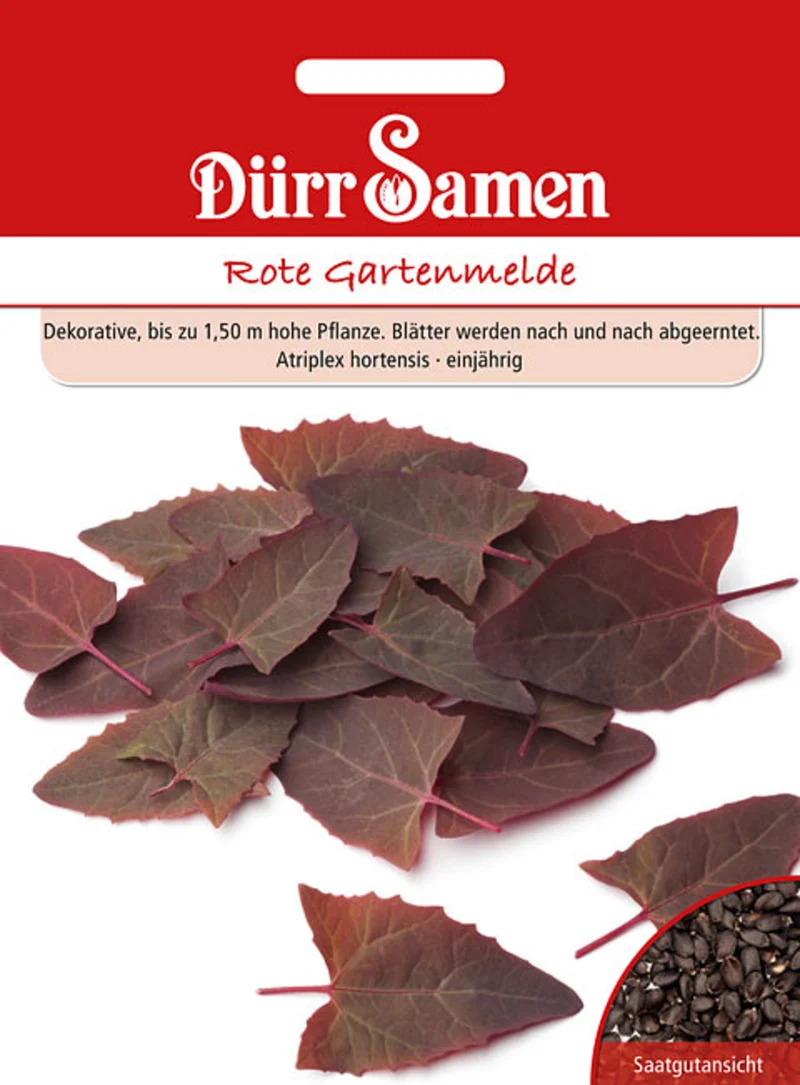 Rote Gartenmelde Saatgut