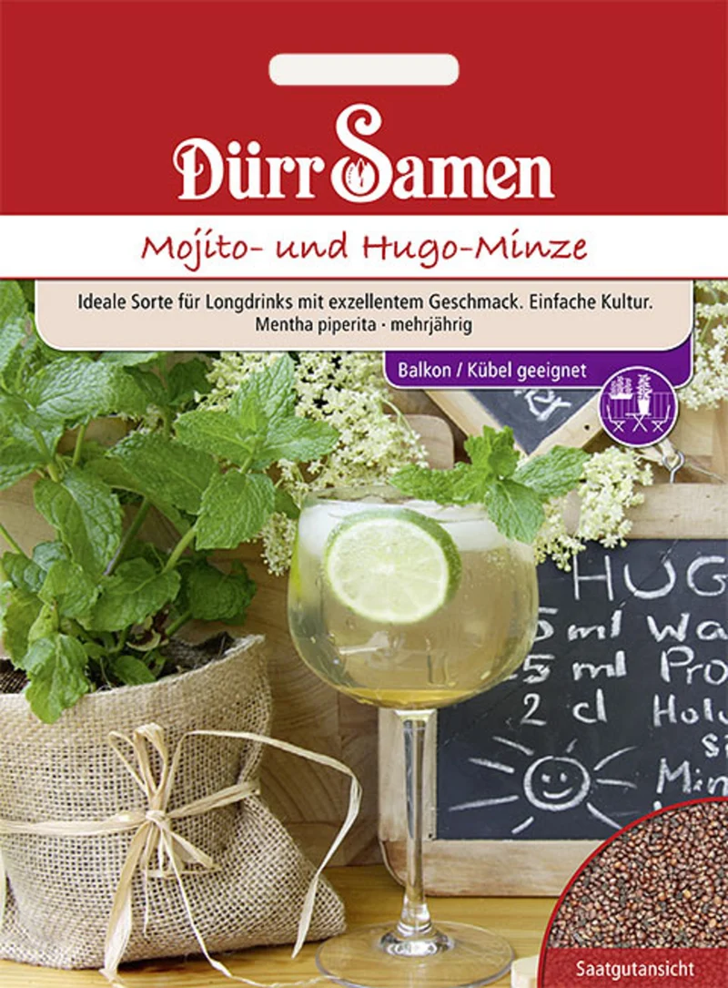 Mojito und Hugo Minze Saatgut