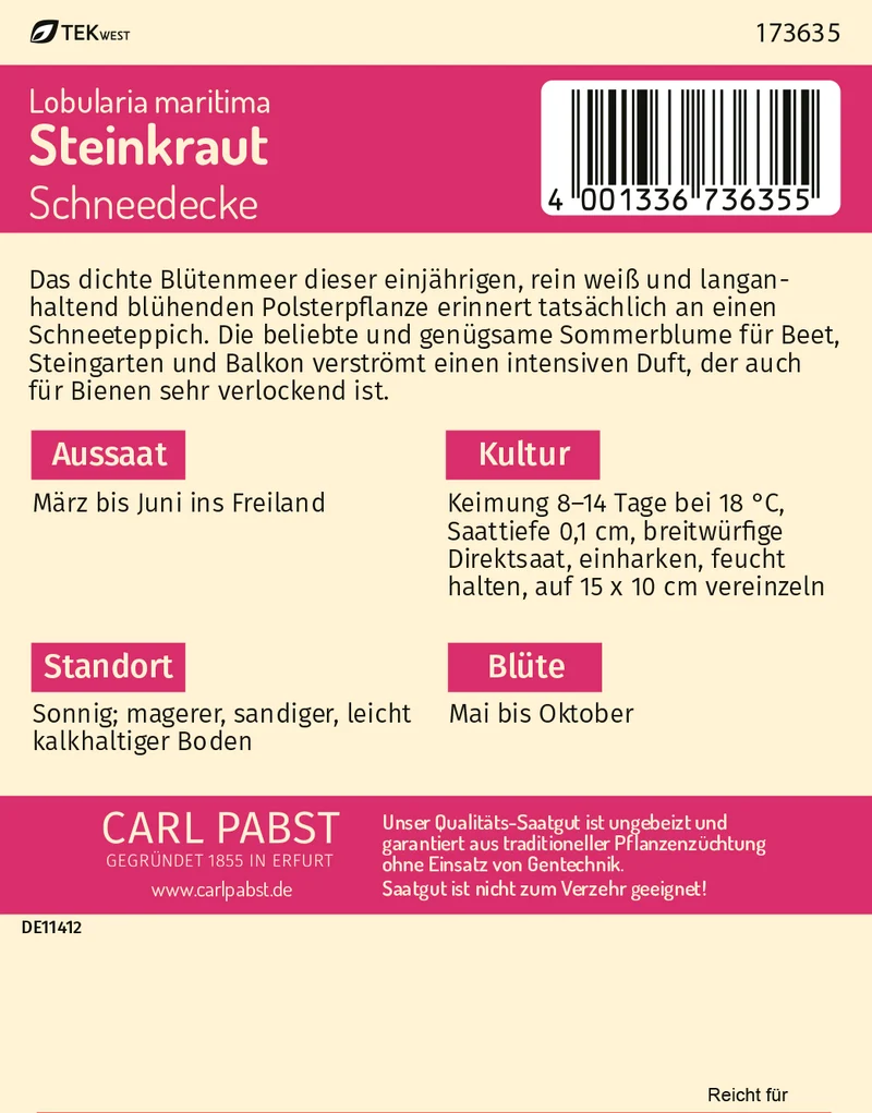 Steinkraut Schneedecke Saatgut