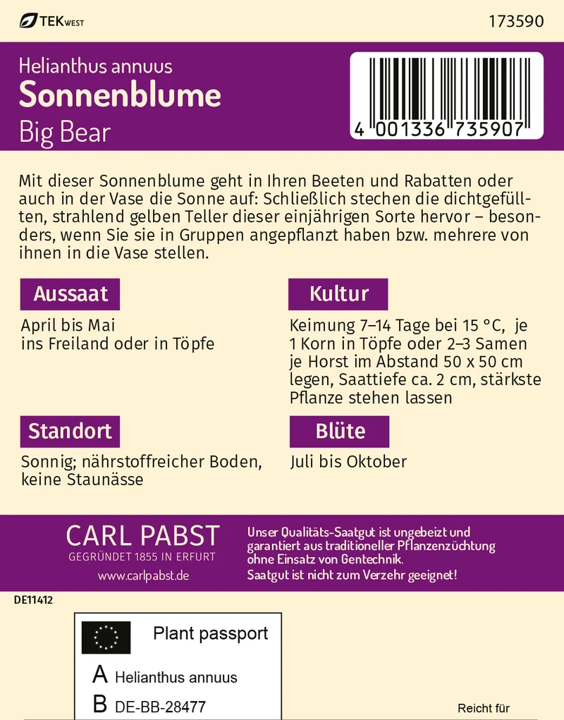 Sonnenblume Big Bear Saatgut