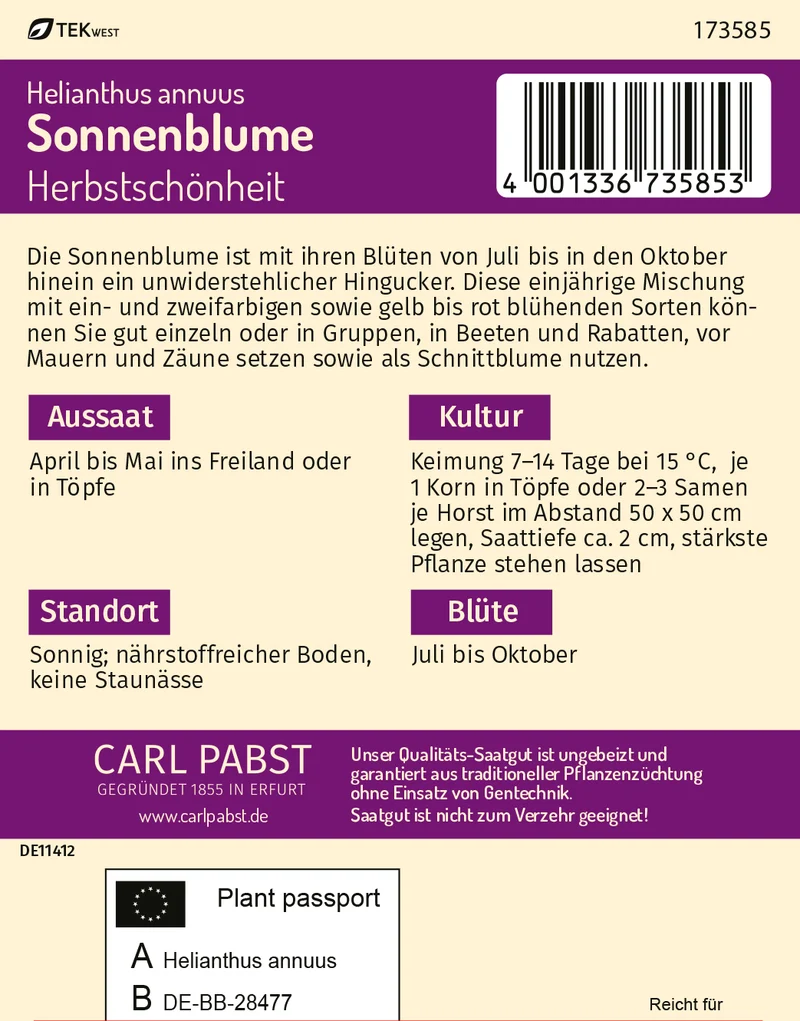 Sonnenblume Herbstschönheit Saatgut