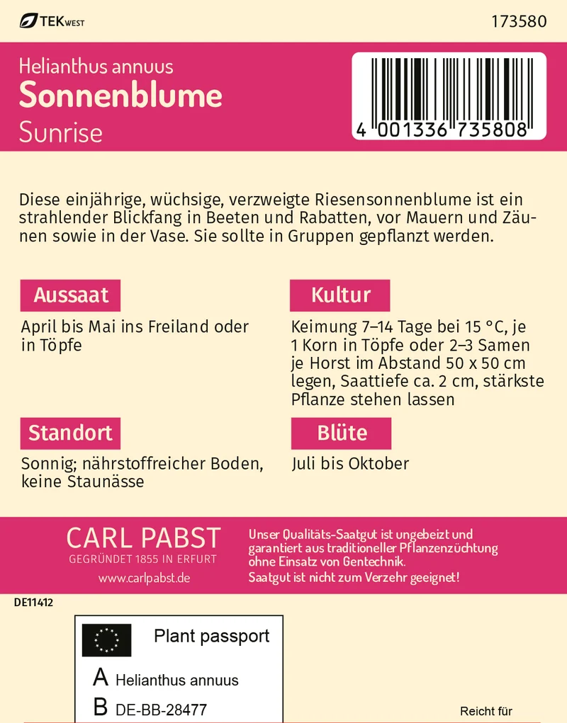 Sonnenblume Sunrise Saatgut