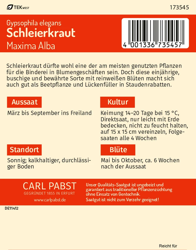 Schleierkraut Maxima Alba Saatgut