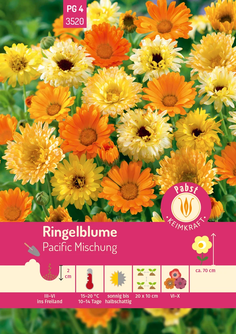 Ringelblume Pacific Mischung Saatgut