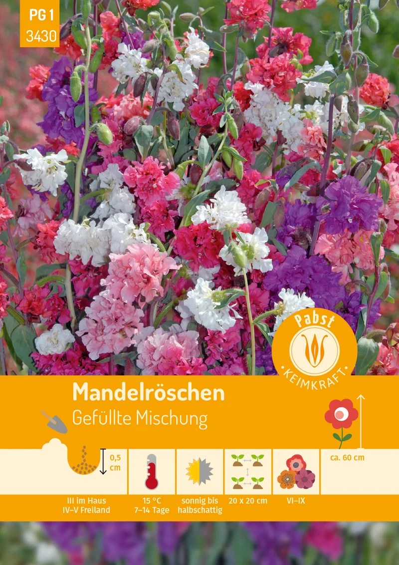 Mandelröschen Gefüllte Mischung Saatgut