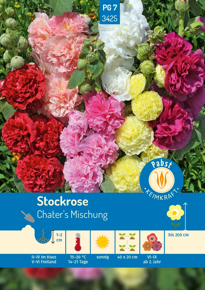 Stockrose Chaters Mischung Saatgut