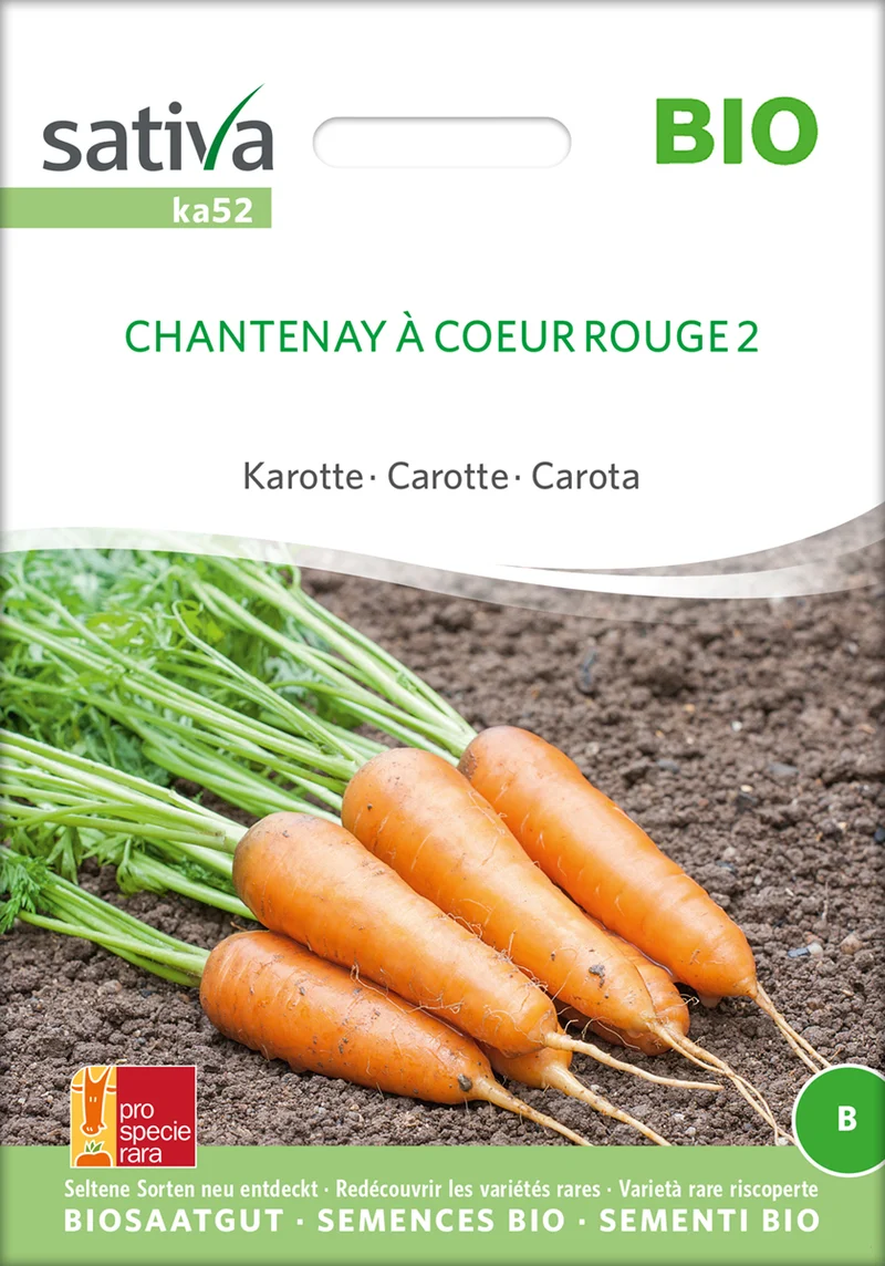 Möhre Chantenay À Coeur Rouge 2 | BIO Möhrensamen von Sativa Rheinau [MHD 12/2025]