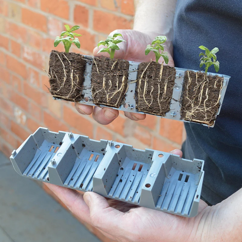 Fast Root - Split cel 24 -Garland Products