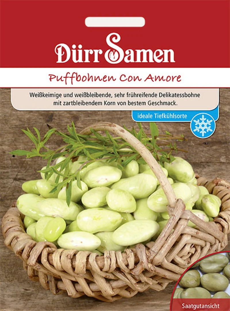 Puffbohne Dreifach Weiße Saatgut