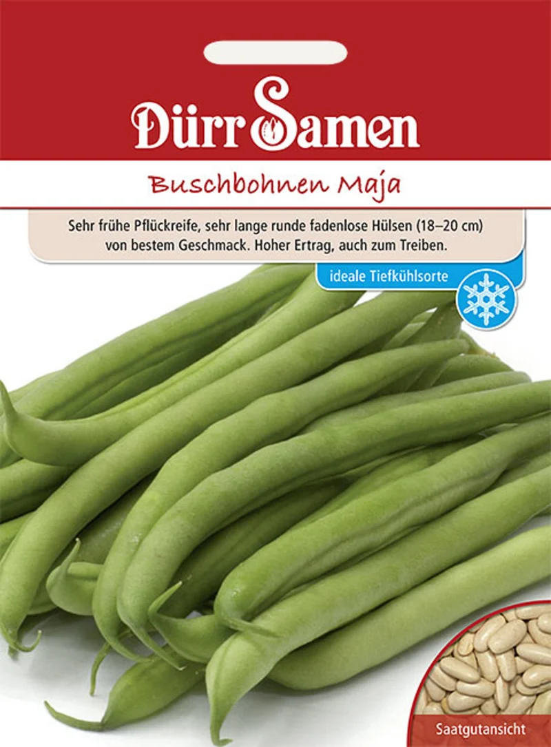 Buschbohne Maja Saatgut