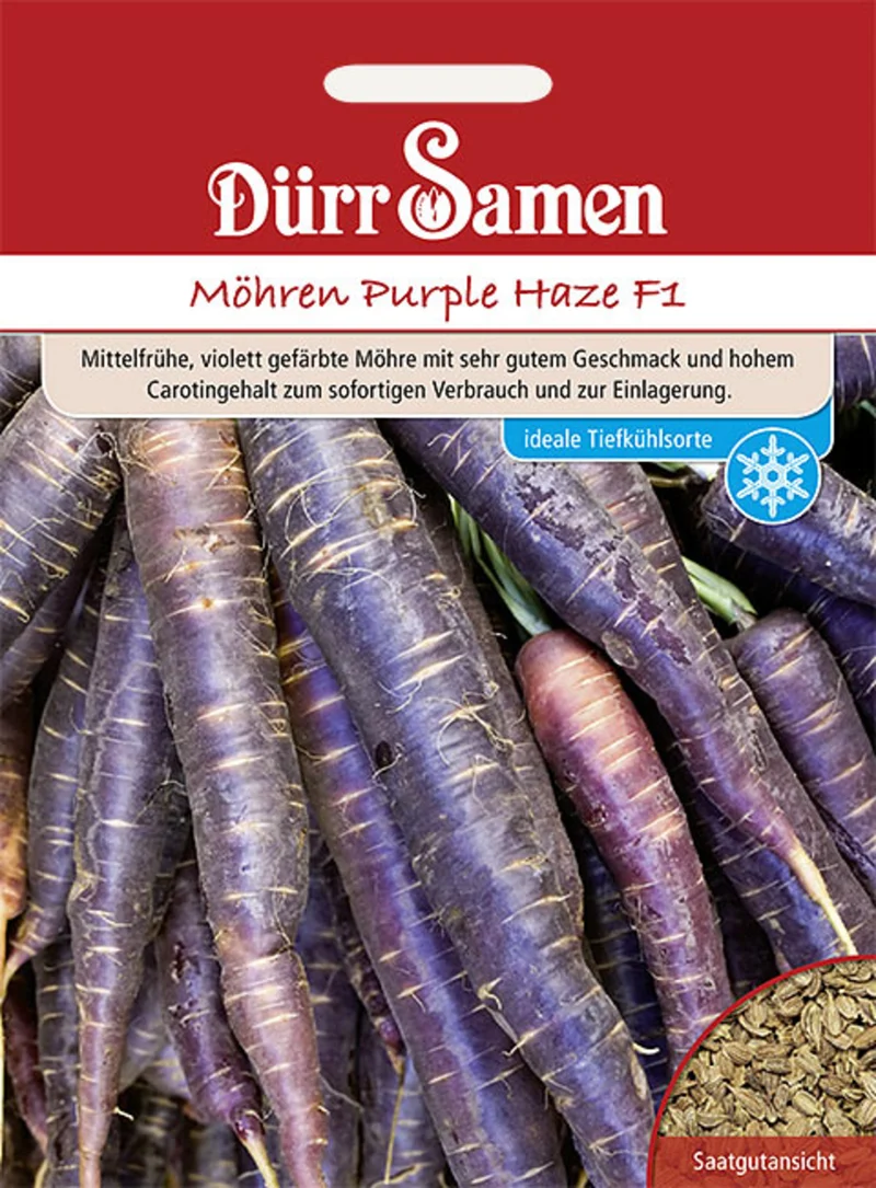 Möhre Purple Haze F1 Saatgut