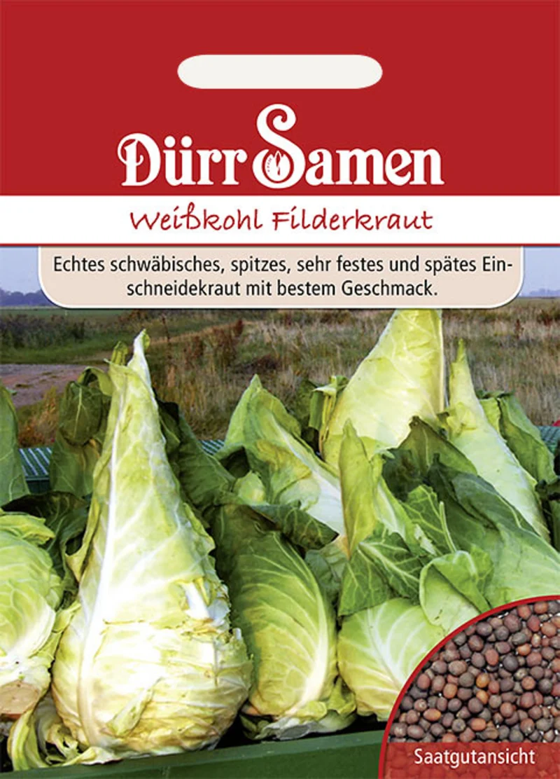Weißkohl Spitzkraut Saatgut