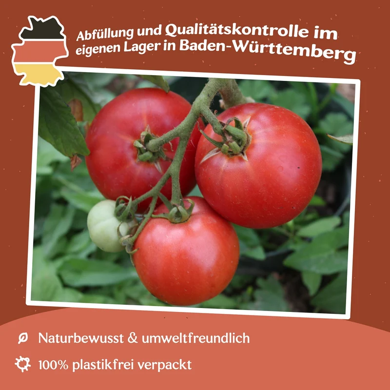 Faworyt Tomatensamen