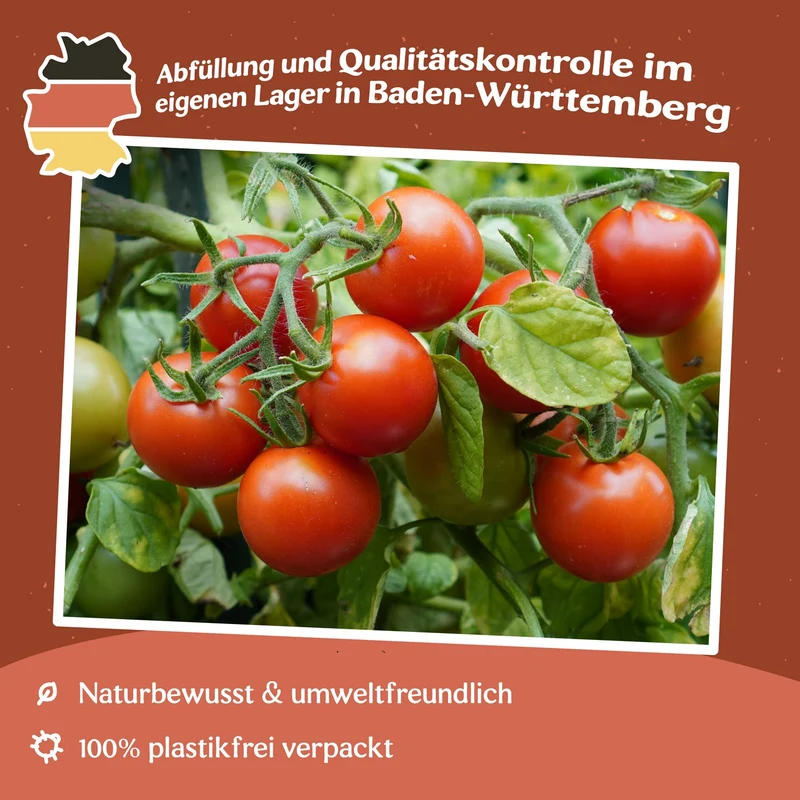 Maskotka Tomatensamen