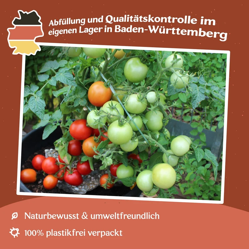 Tomatensamen Maja MHD 06/27