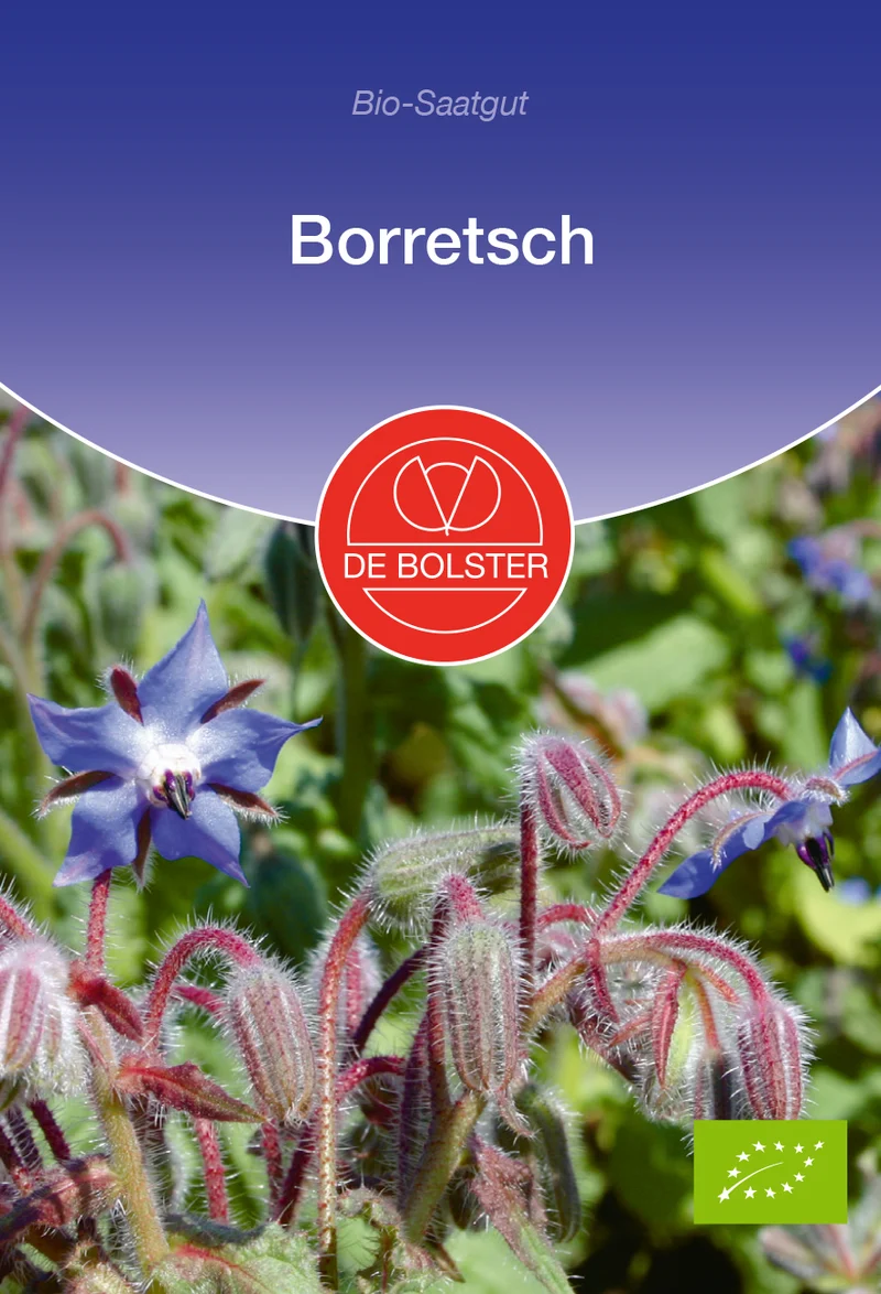 Borretsch | BIO Borretschsamen von De Bolster [MHD 12/2025]