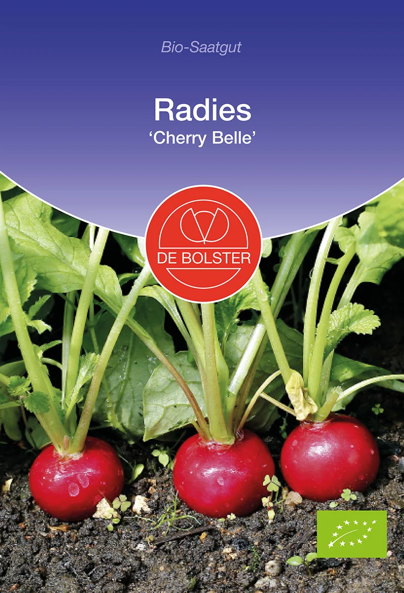 Radies Cherry Belle | BIO Radieschensamen von De Bolster [MHD 12/2025]