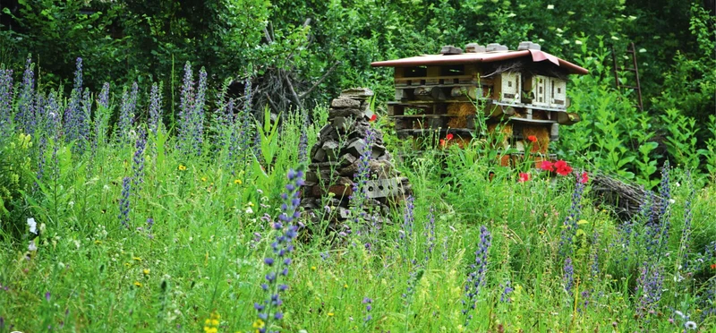 Permakultur & Naturgarten
