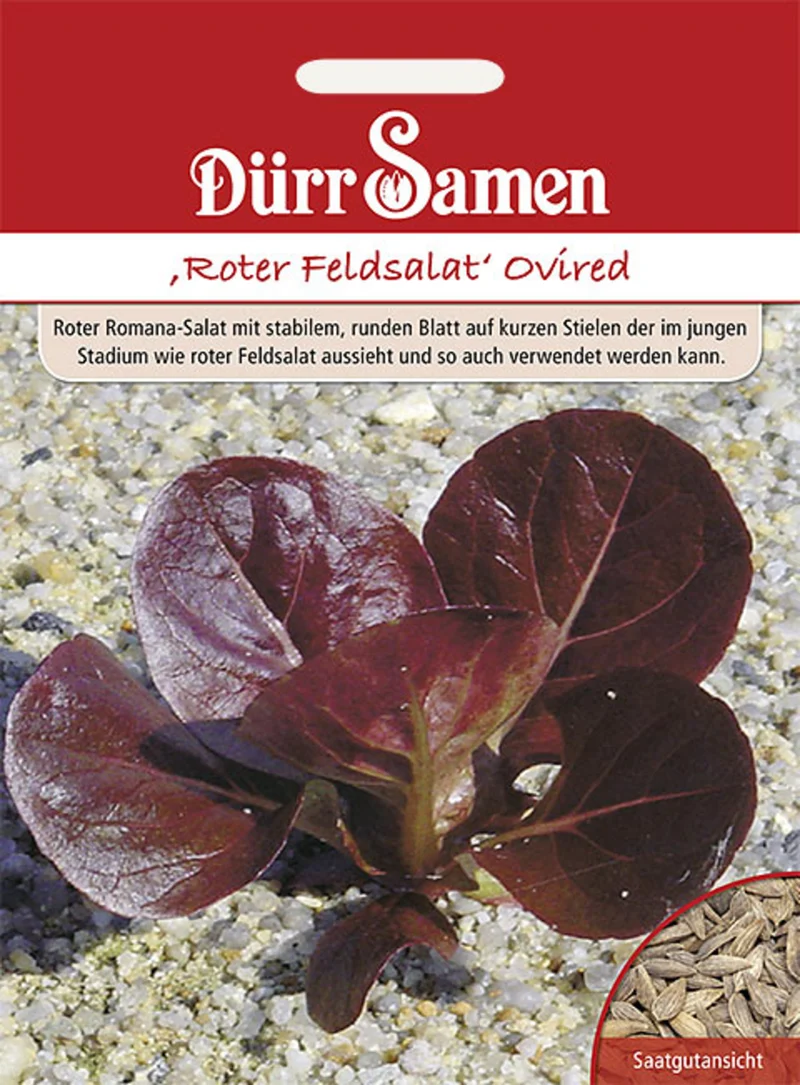 Roter Feldsalat Ovired Saatgut