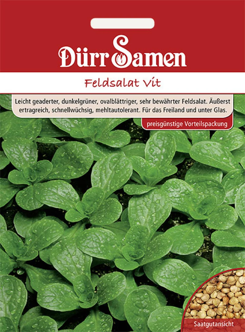 Feldsalat Vit 17500 Korn Saatgut