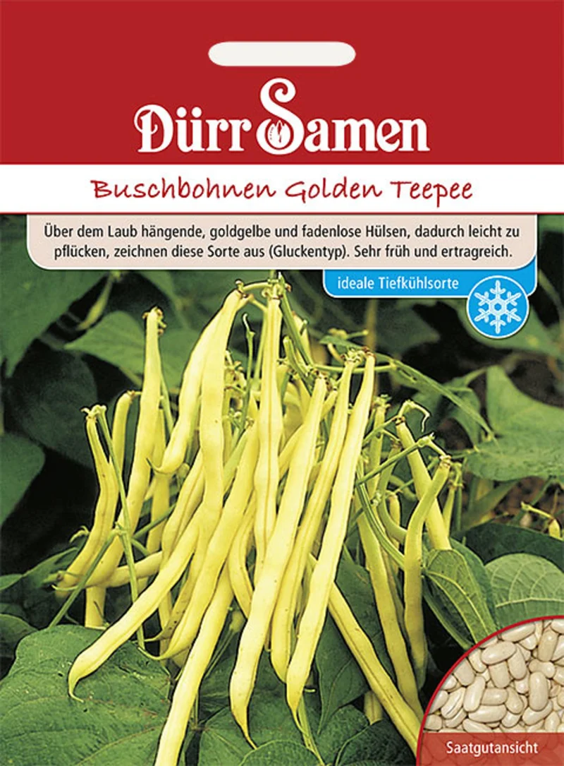 Buschbohne Golden Teepee Saatgut