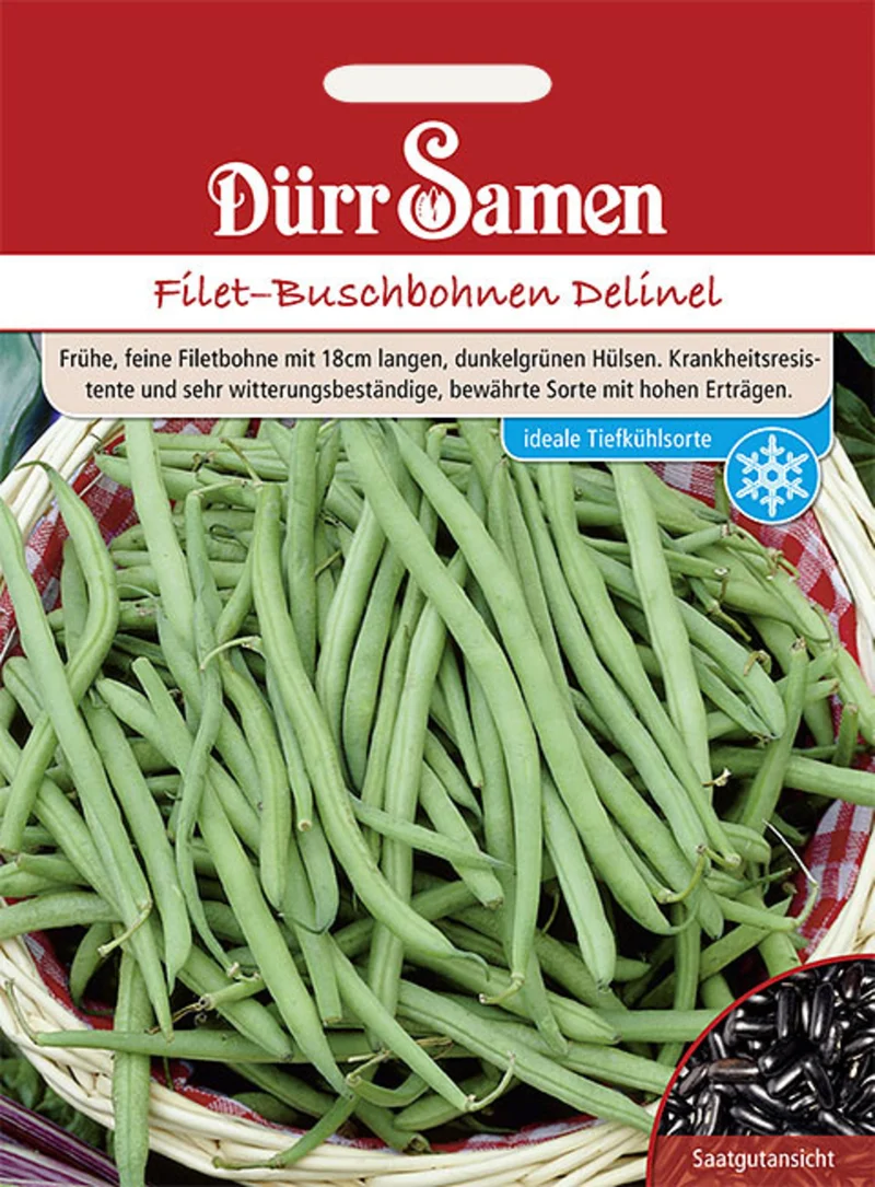 Buschbohne Delinel Saatgut