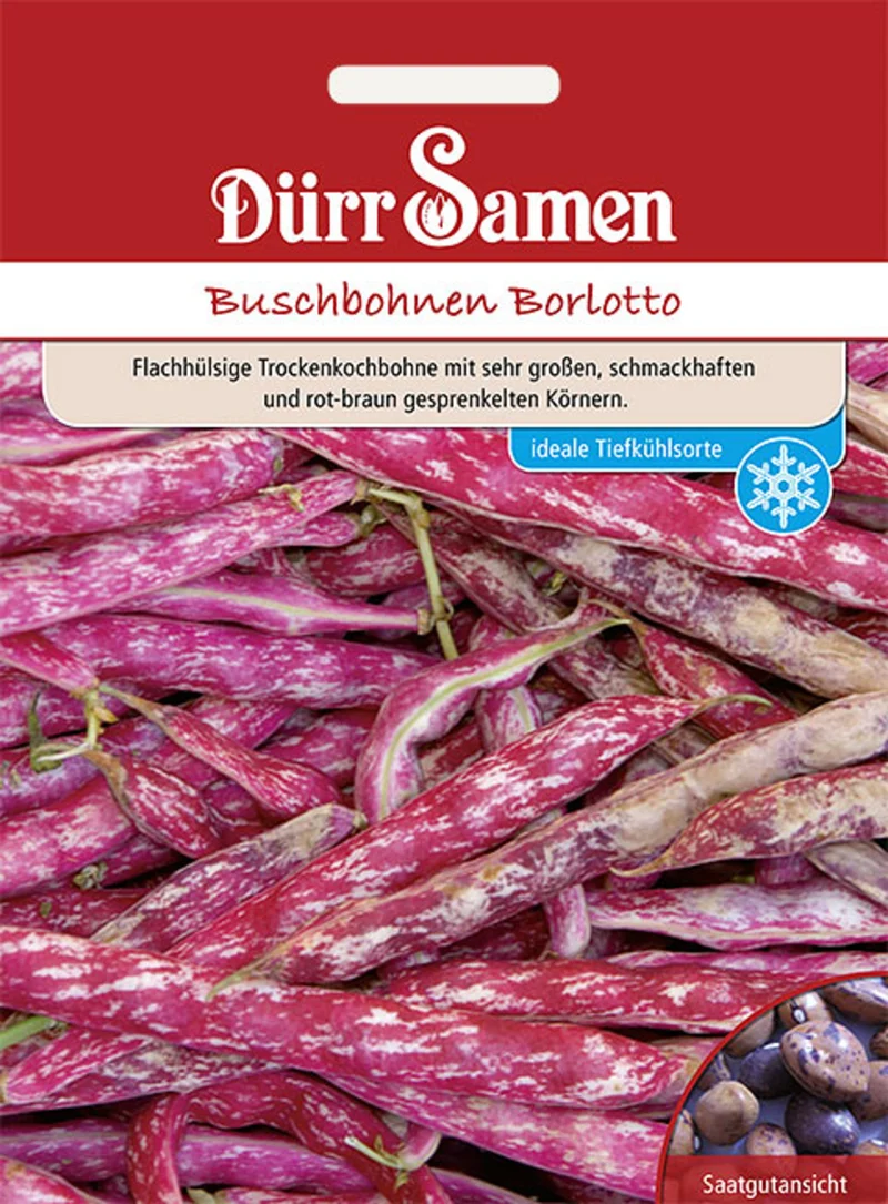 Buschbohne Borlotto Beckenbullen Saatgut