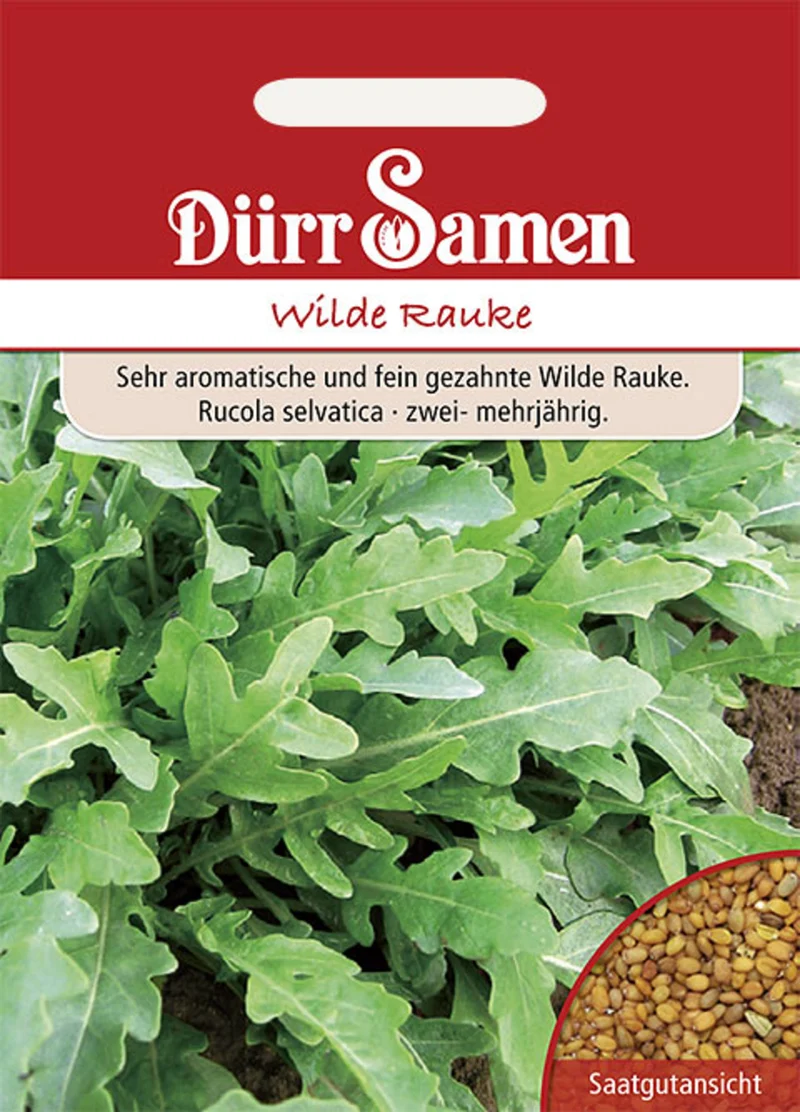 Wilde Rauke Saatgut