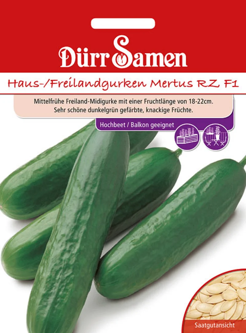 Haus und Freilandgurke Mertus RZ F1 Saatgut