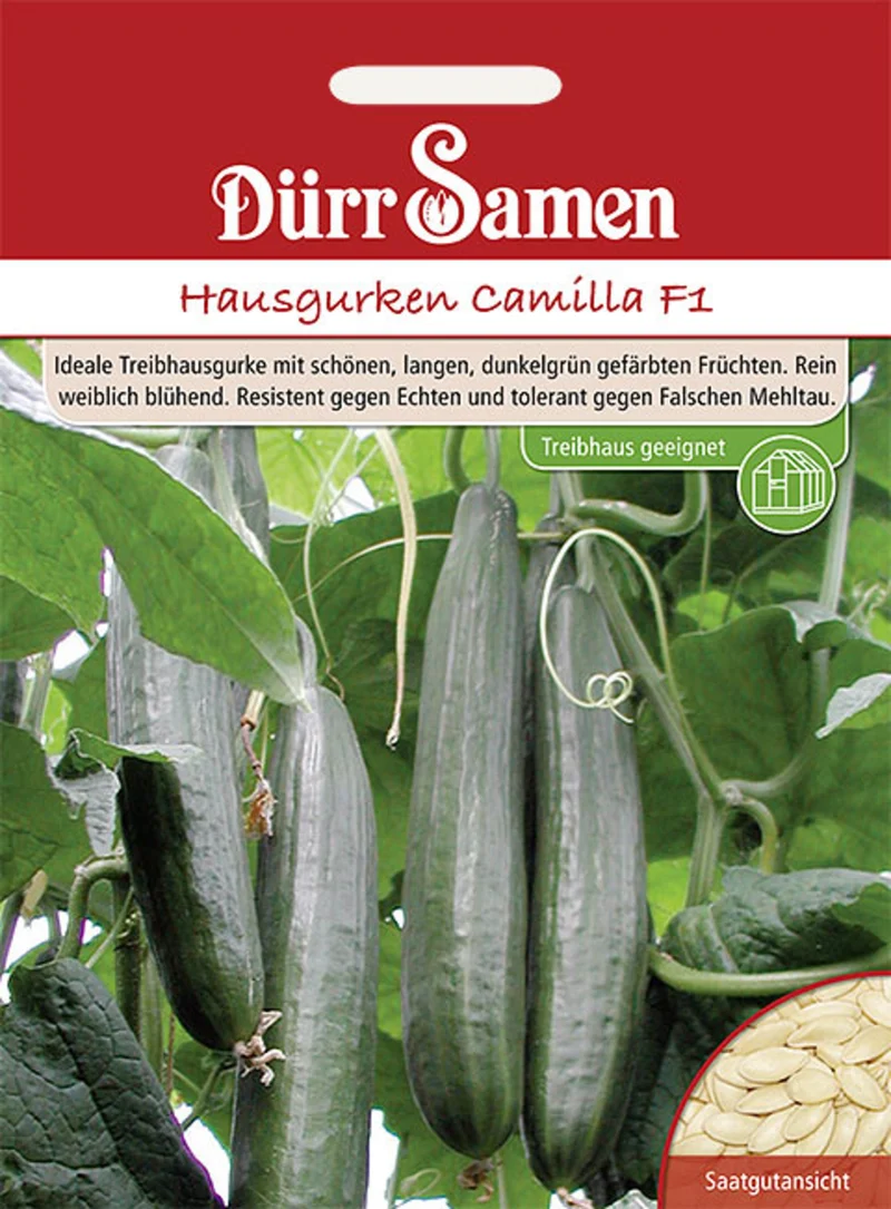 Hausgurke Camilla F1 Saatgut