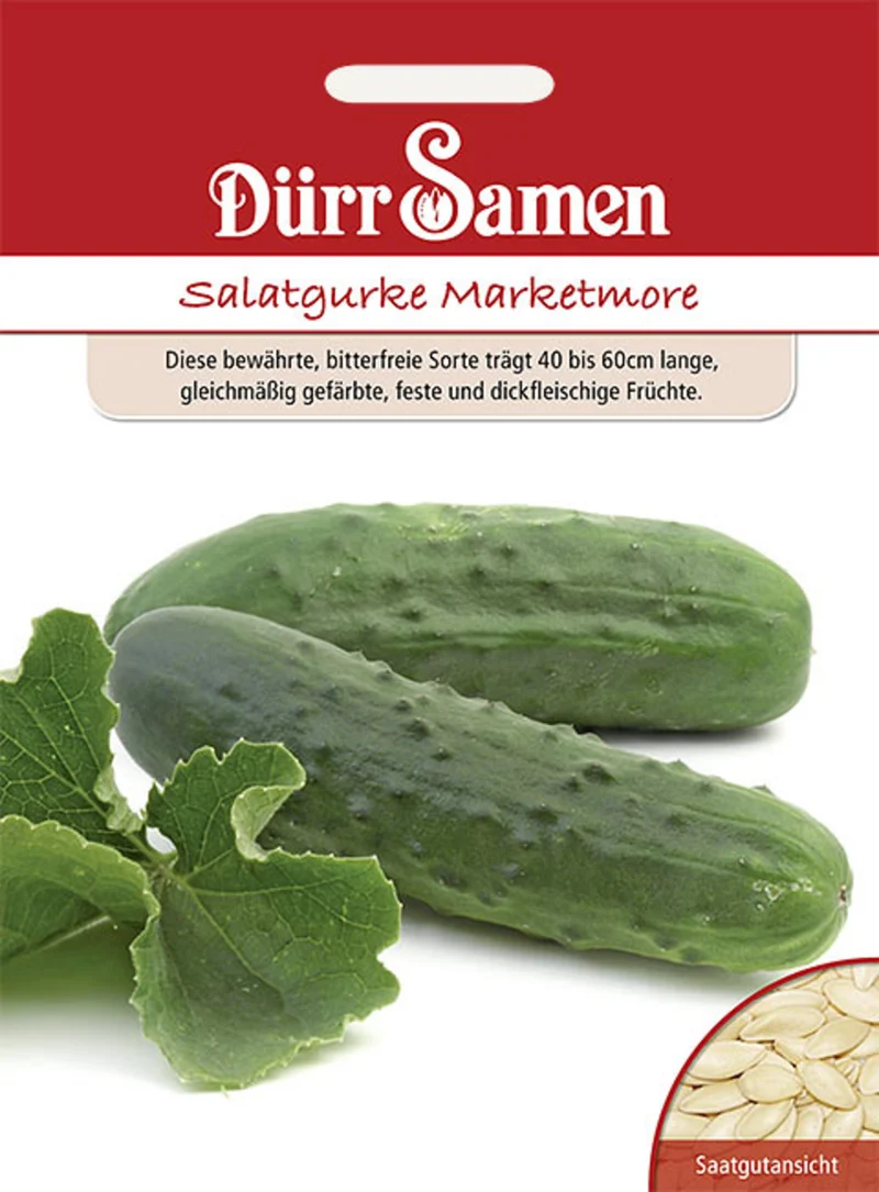 Salatgurke Marketmore Saatgut